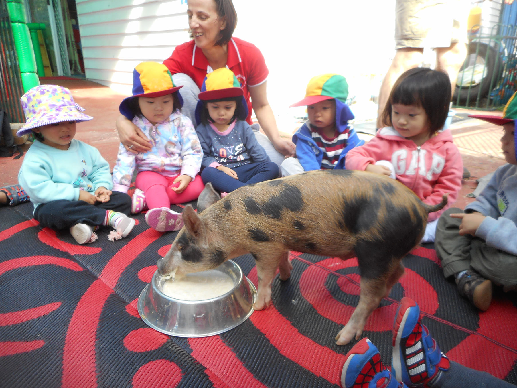 Daisy Learning Centre Together We learn We Grow